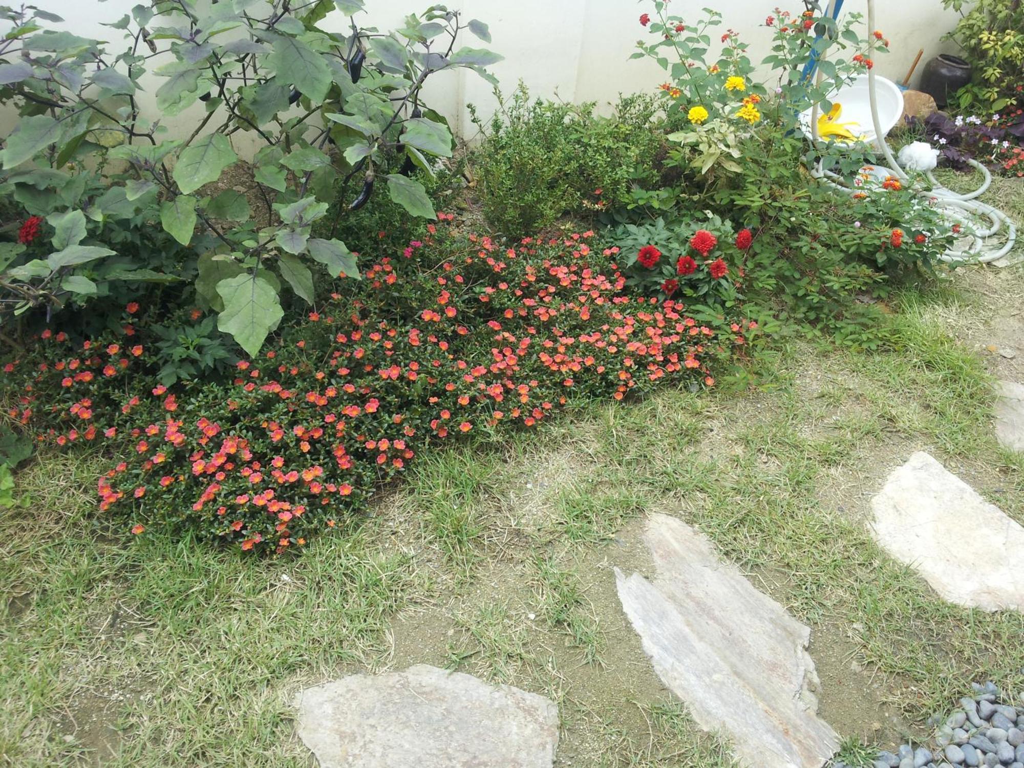 Jeonju Nostalgic Home المظهر الخارجي الصورة