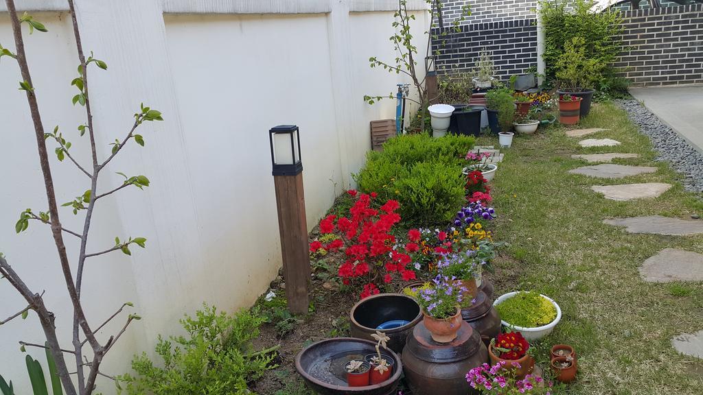 Jeonju Nostalgic Home المظهر الخارجي الصورة